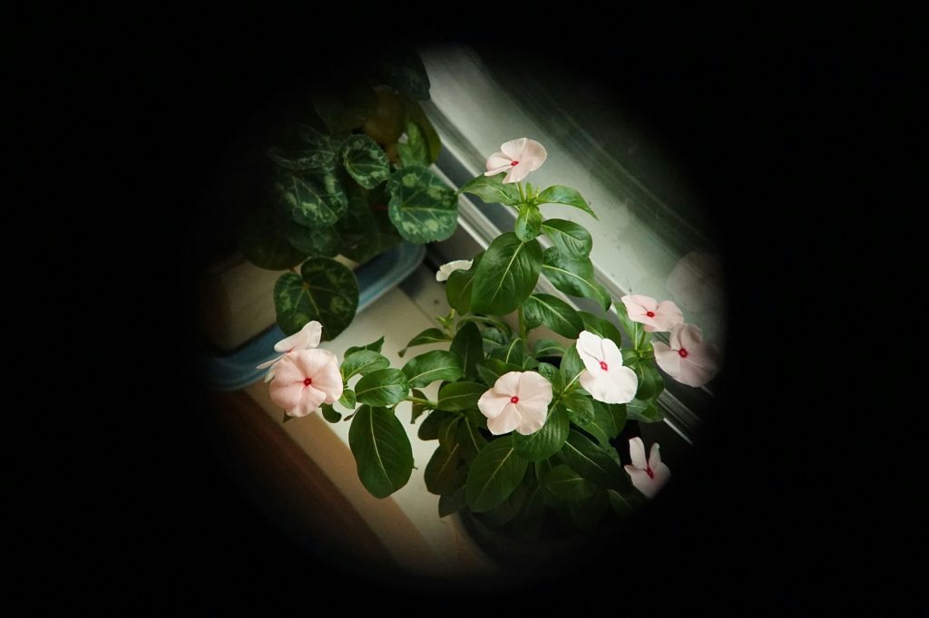 ★希少！超美品★PENTAX TV 8-48mm F1.0 Cマウント ☆希少！超美品☆PENTAX TV 8-48mm F1.0 Cマウント Rare Pentax